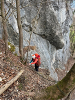 Link to an image
