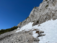 Link to an image
